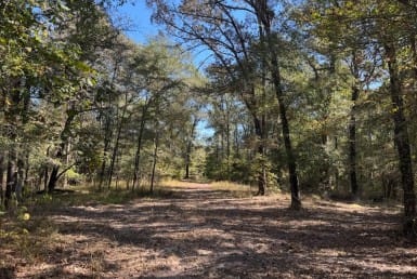36 acres in Red River County