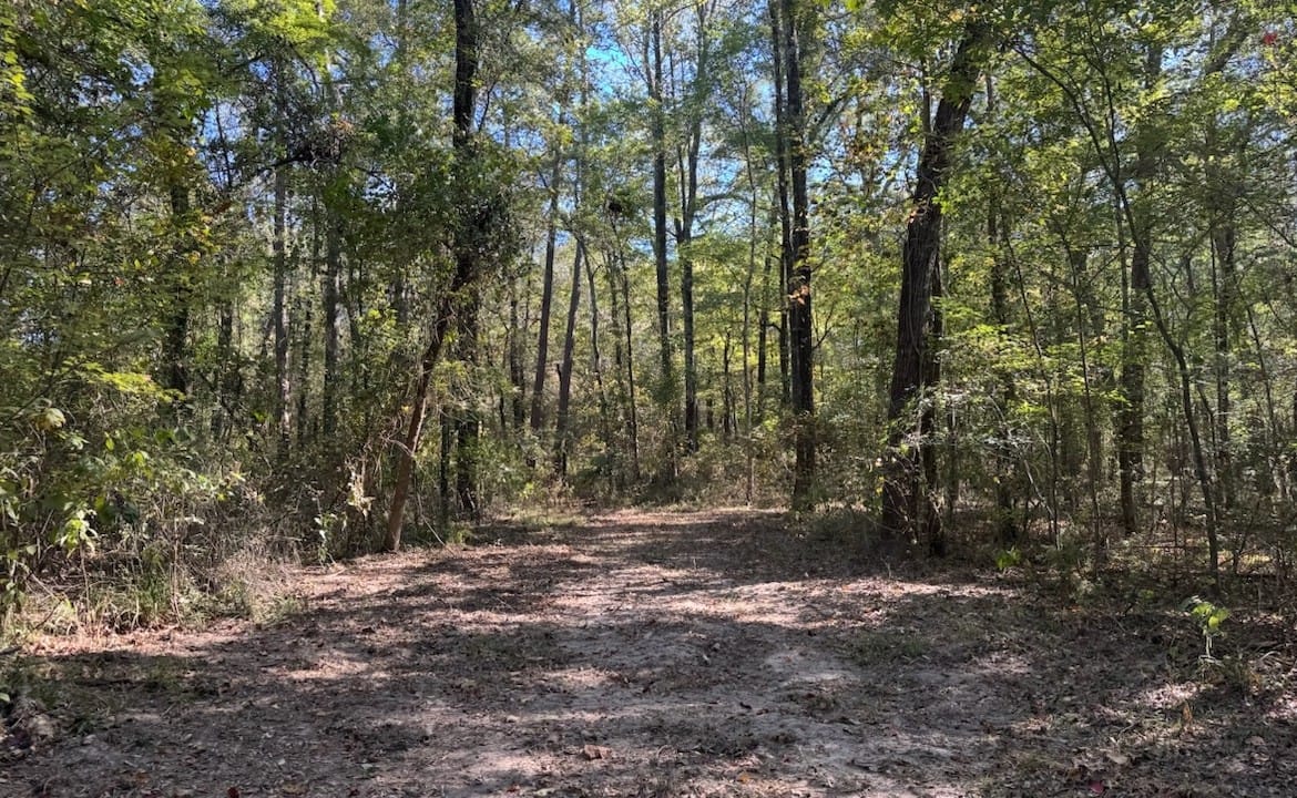 36 acres in Red River County