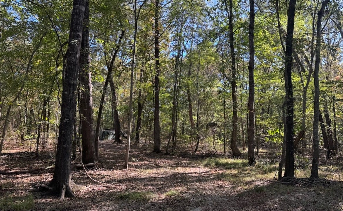 36 acres in Red River County