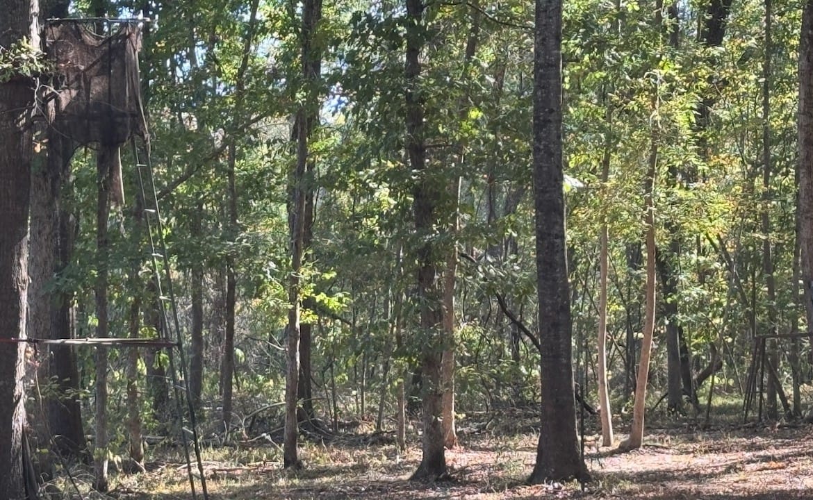 36 acres in Red River County