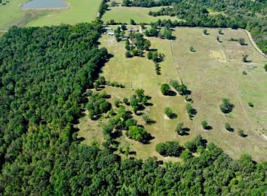 15 acres in Camp County