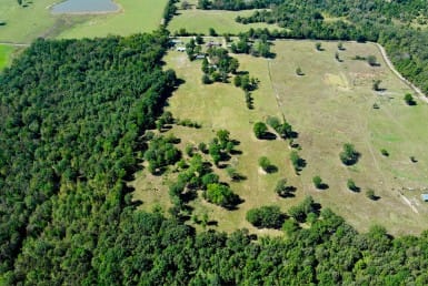 15 acres in Camp County