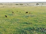 2498 acres in Archer County
