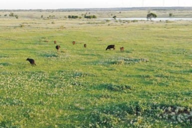2,498 acres in Archer County