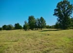 15 acres in Camp County