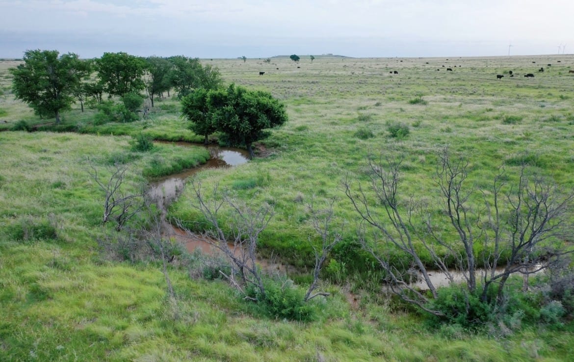 2498 acres in Archer County