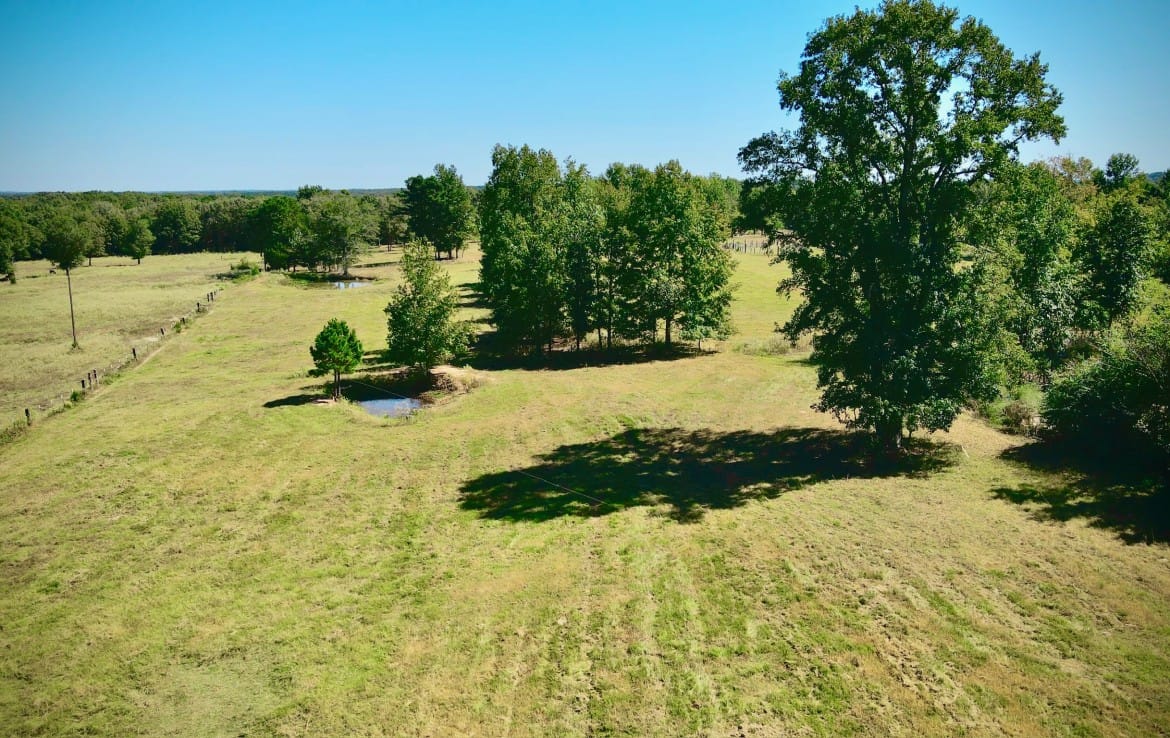 15 acres in Camp County