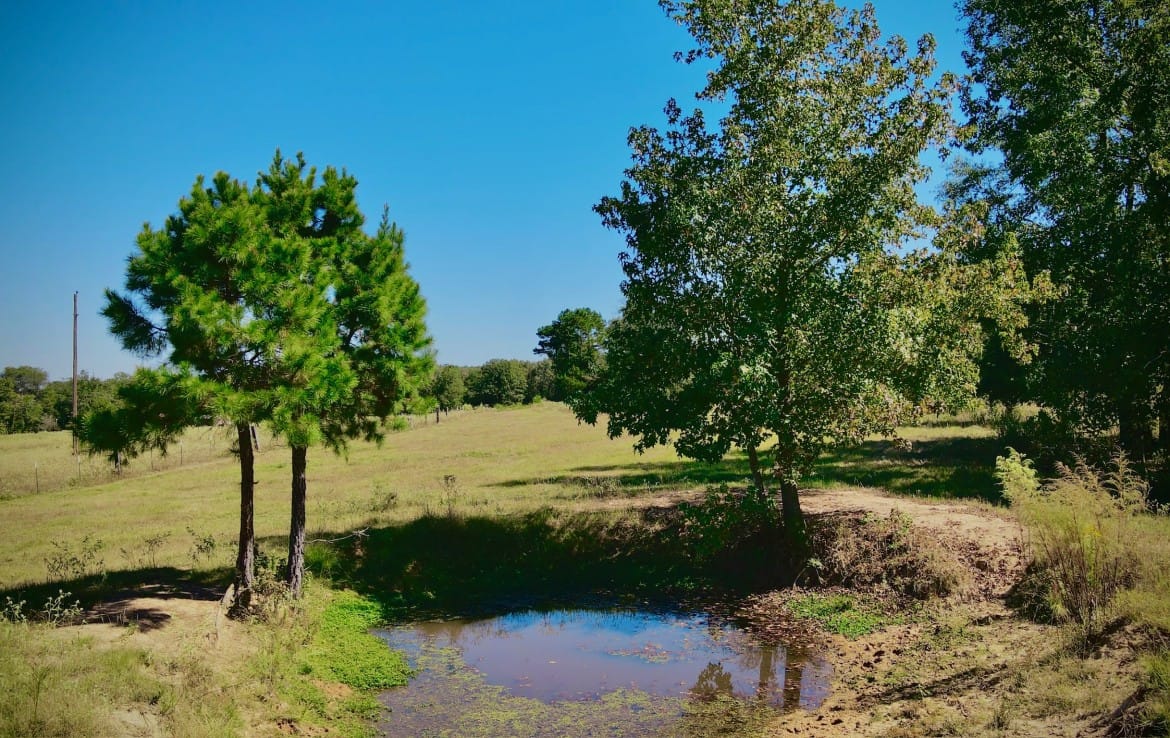 15 acres in Camp County