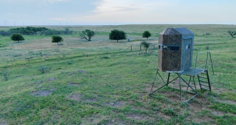 The Digital Deer Stand: Watch Texas Wildlife 24/7 from Anywhere