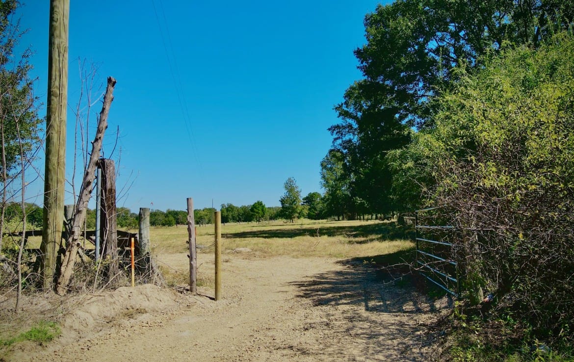 15 acres in Camp County