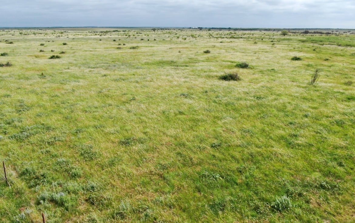 2498 acres in Archer County