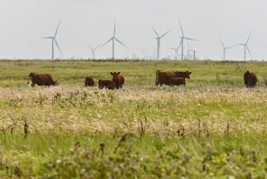How Rural Land Loans Work in Texas