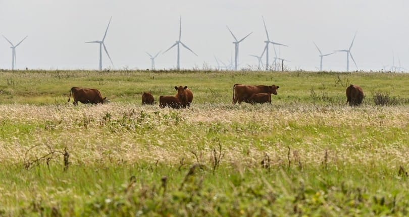 How Rural Land Loans Work in Texas
