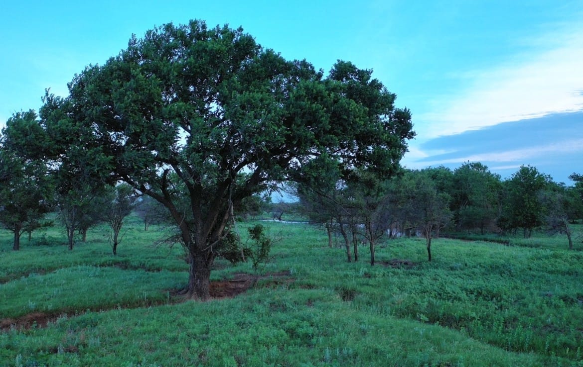 2498 acres in Archer County