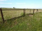 1472 acres in Archer County
