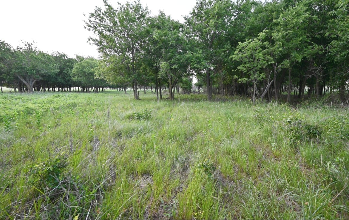 2498 acres in Archer County