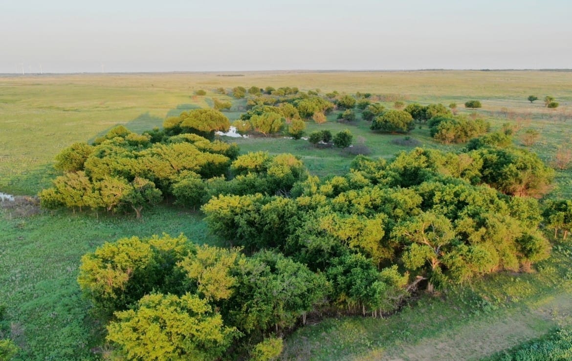 2498 acres in Archer County