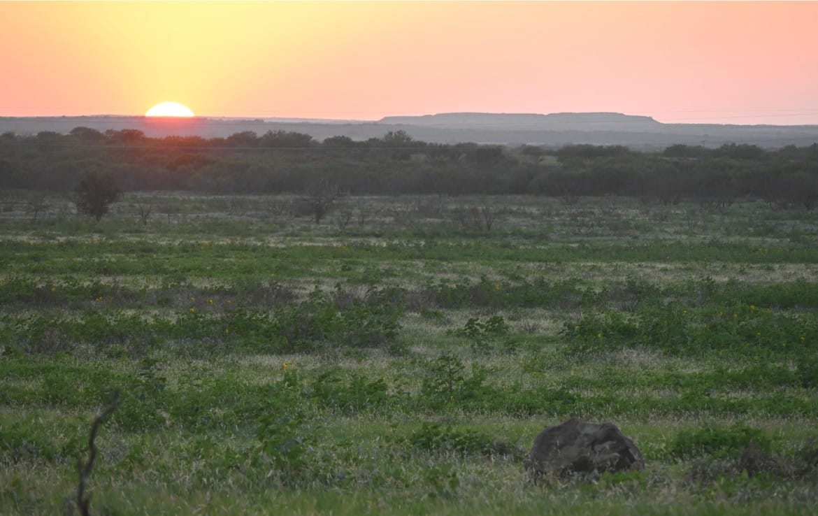 2498 acres in Archer County