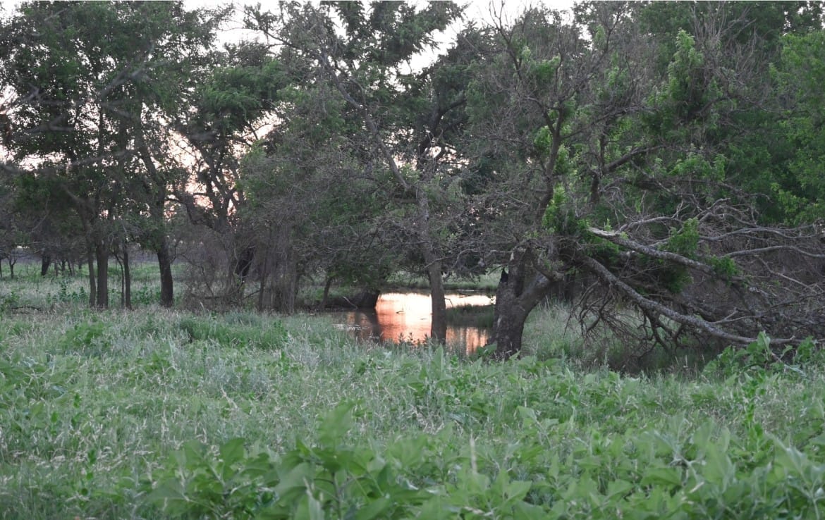 2498 acres in Archer County