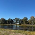 55 acres in Titus County