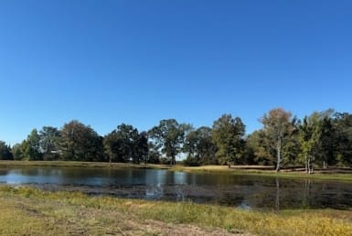 55 acres in Titus County