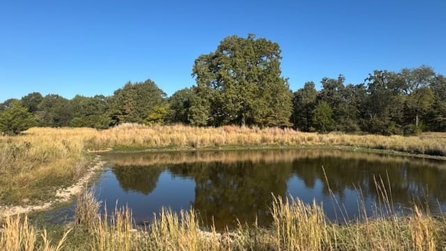 55 acres in Titus County