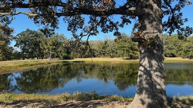 55 acres in Titus County