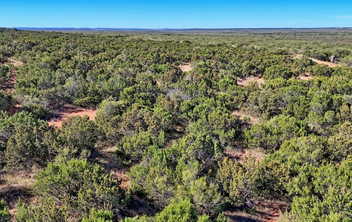 69 acres in Foard County