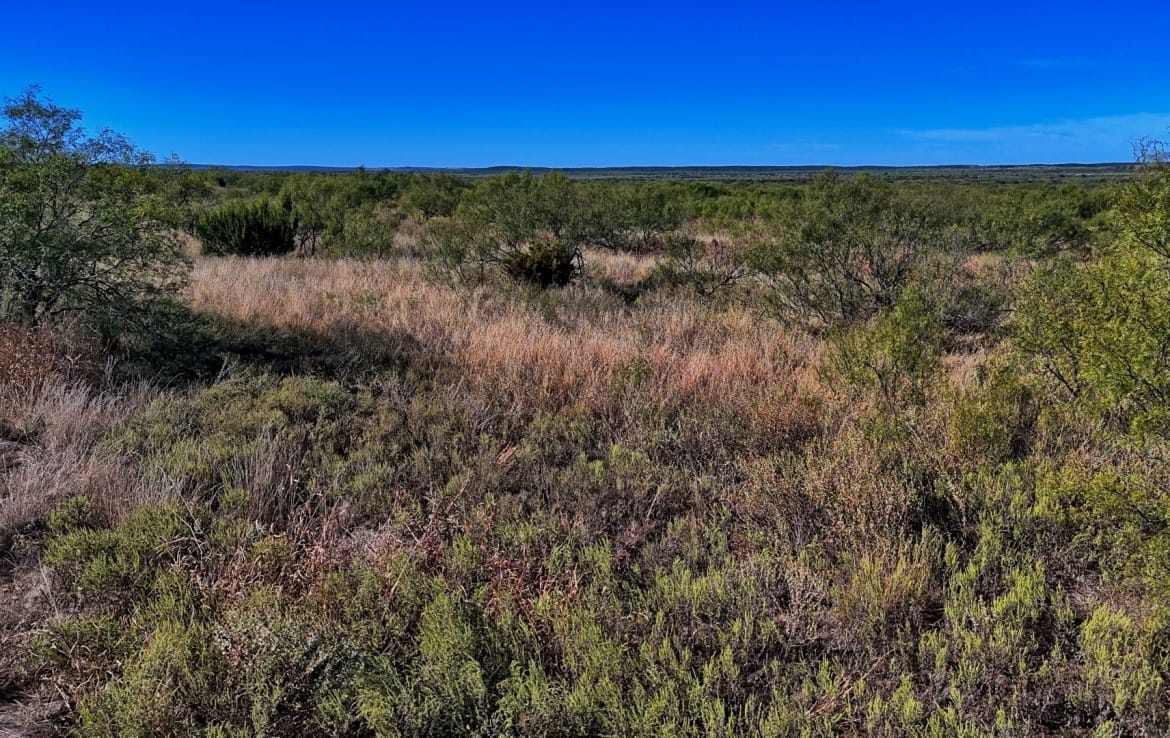 69 acres in Foard County