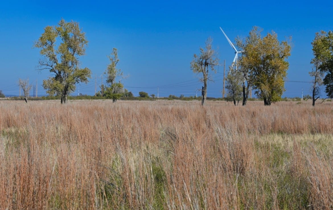 97 acres in Wilbarger County