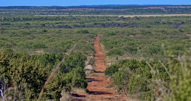 69 acres in Foard County