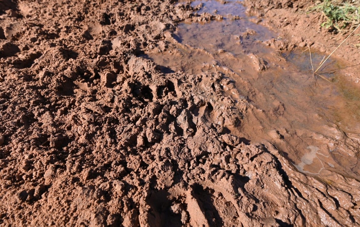 97 acres in Wilbarger County