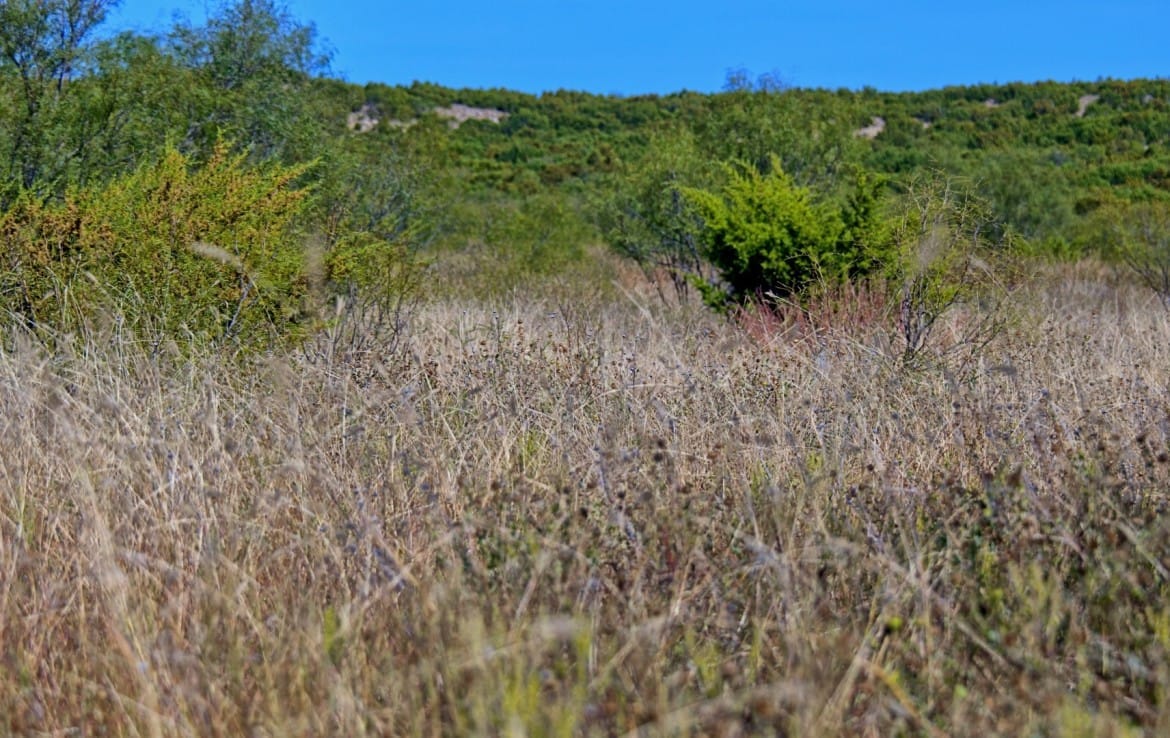 69 acres in Foard County