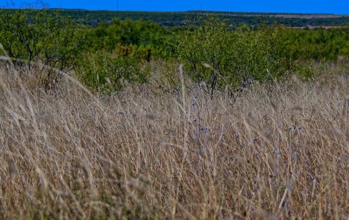 69 acres in Foard County