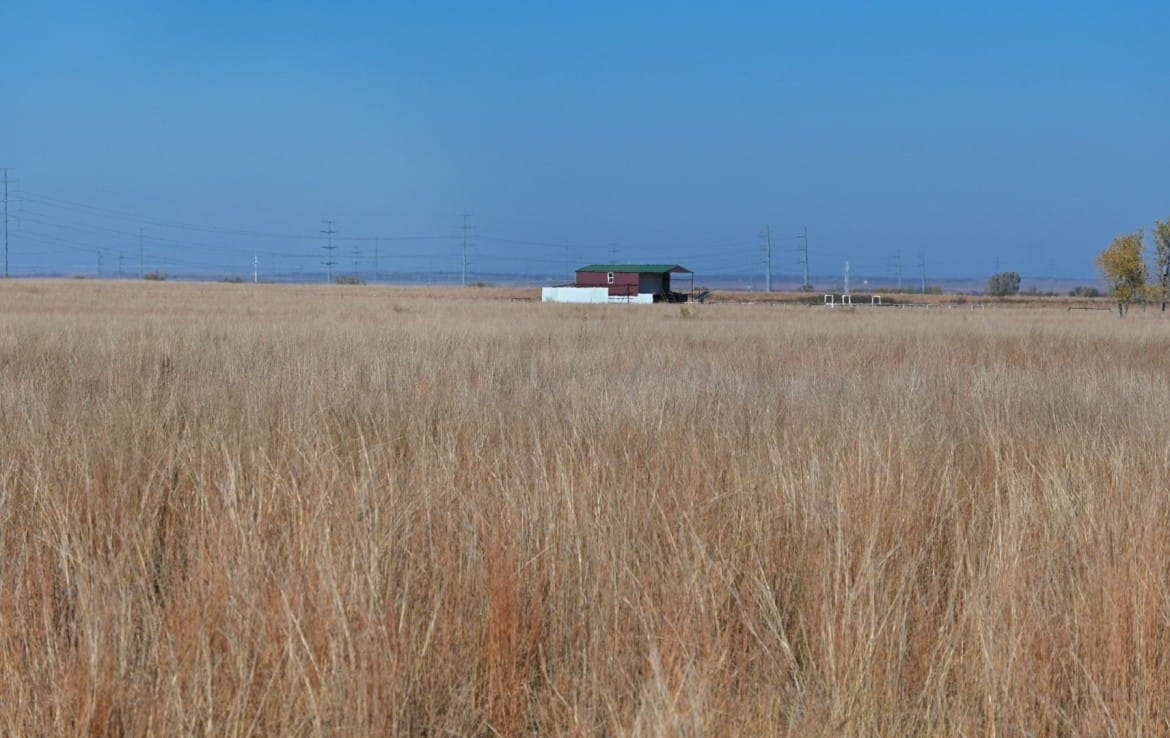 97 acres in Wilbarger County