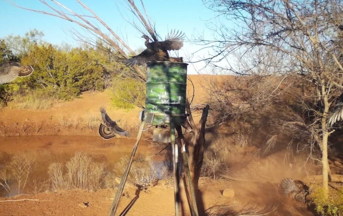 69 acres in Foard County