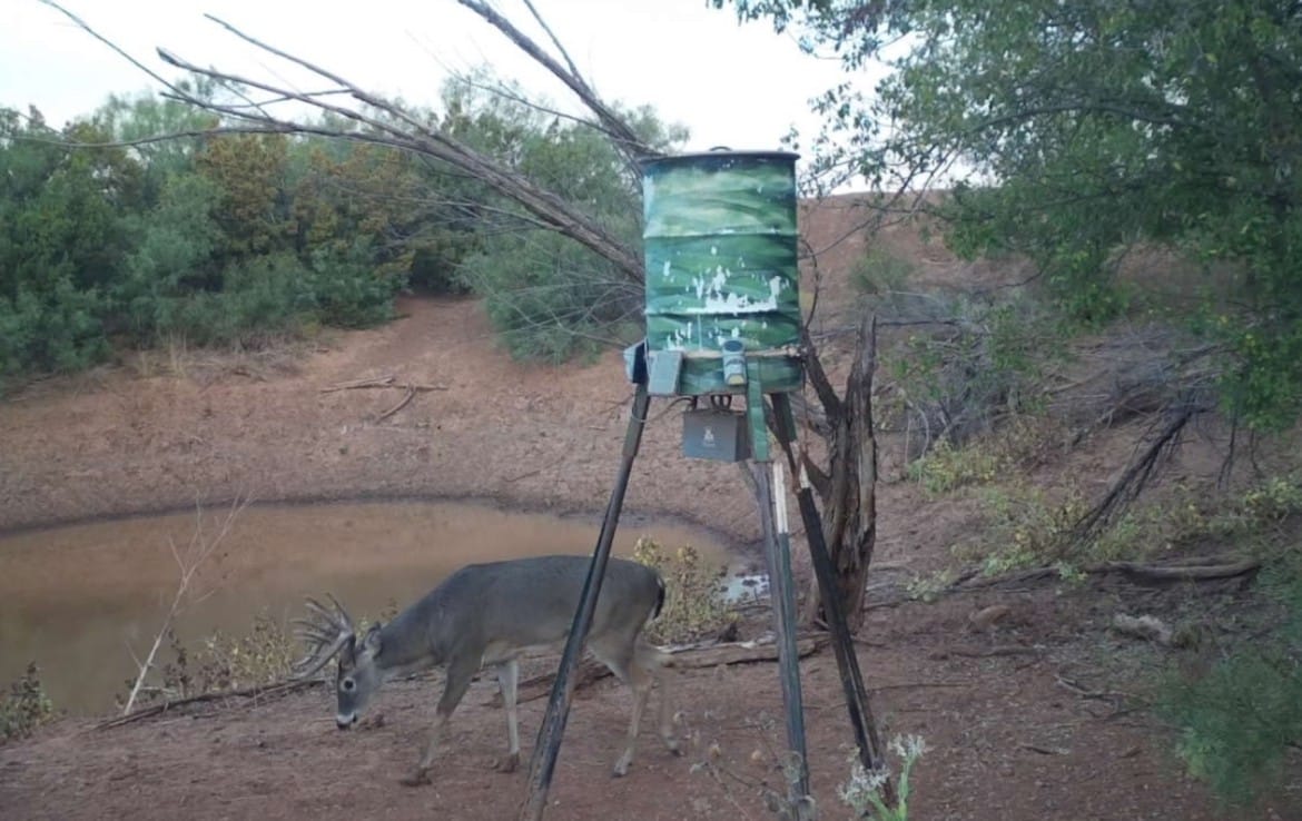 69 acres in Foard County