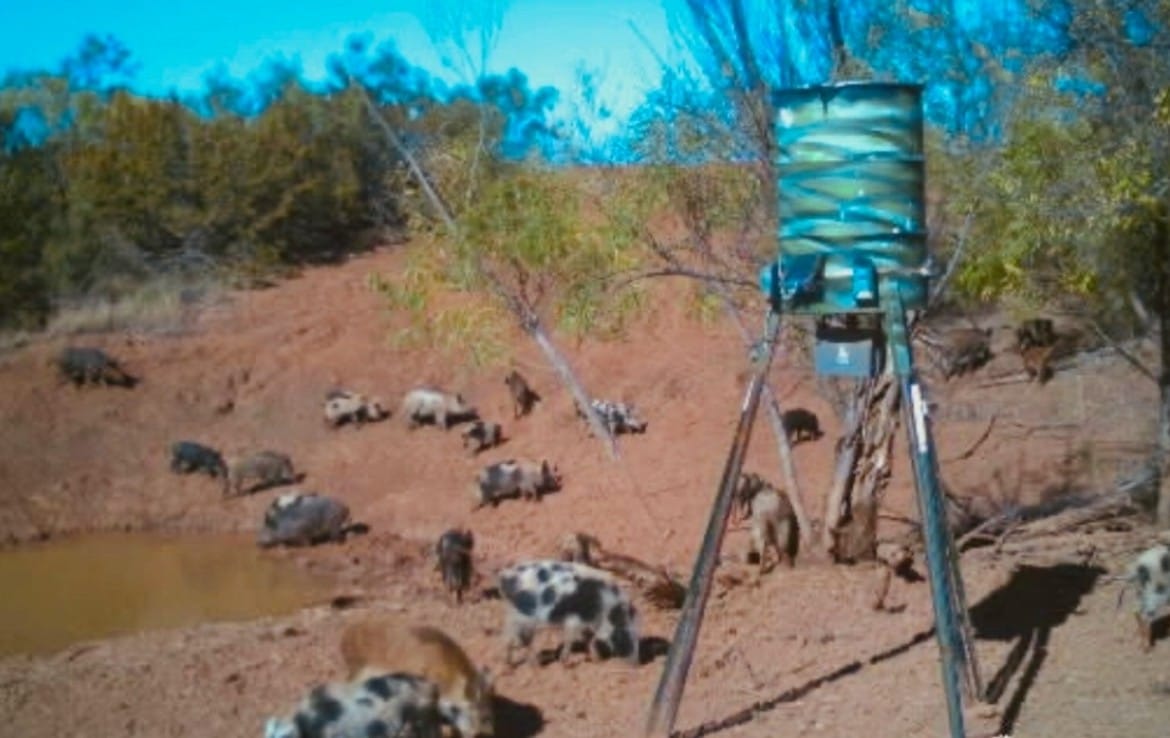 69 acres in Foard County