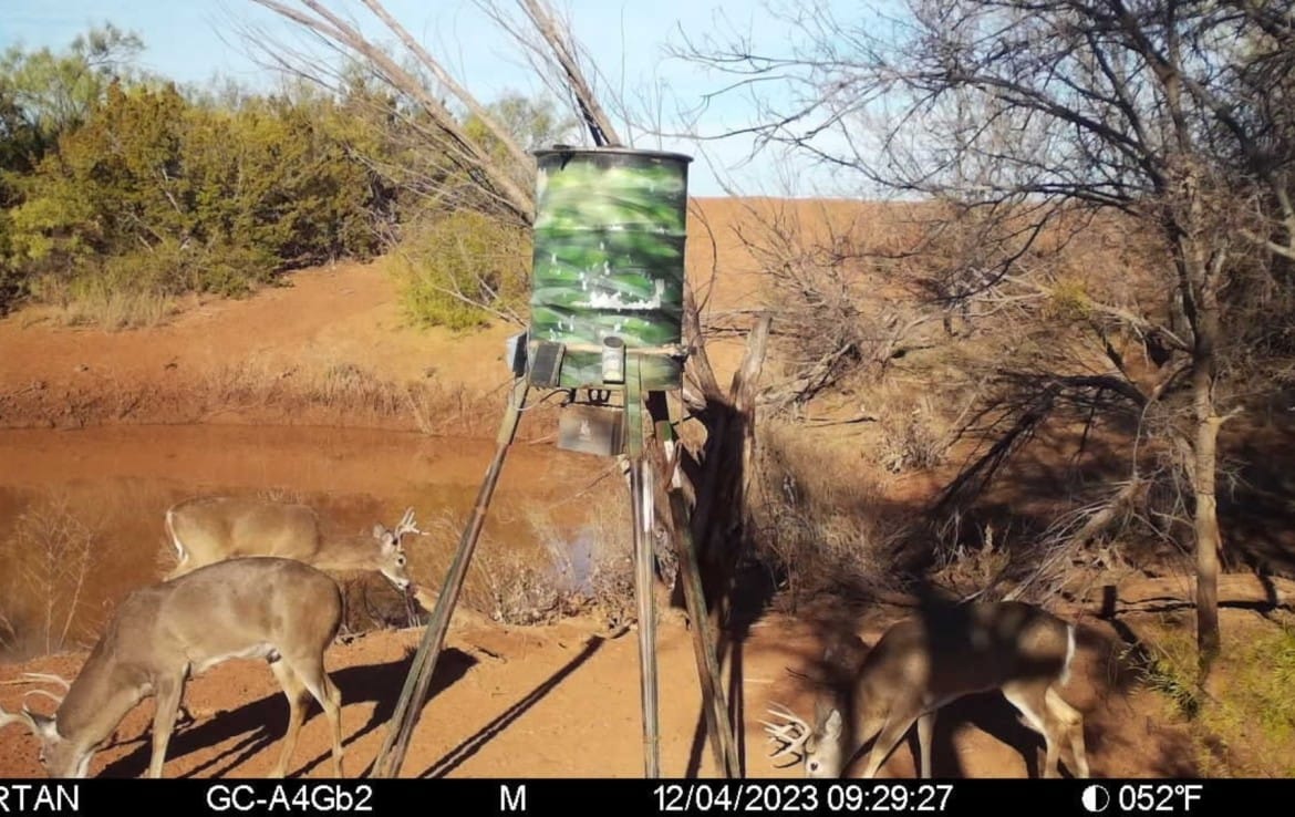 69 acres in Foard County