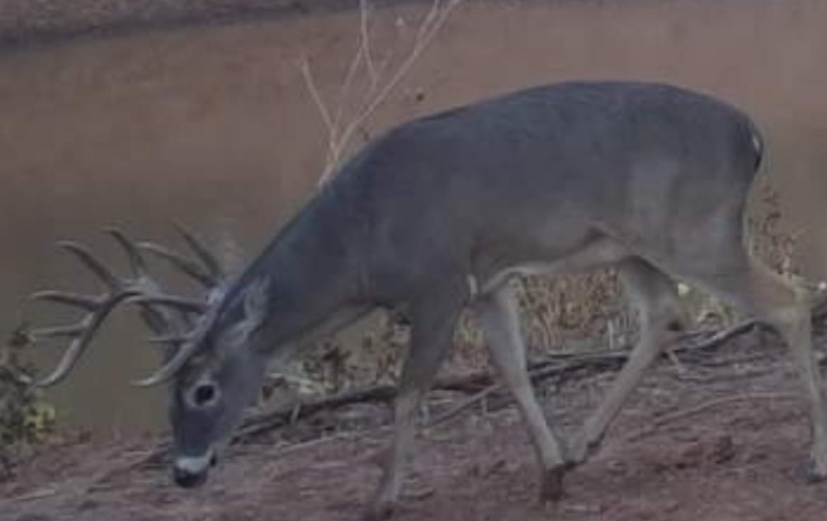 69 acres in Foard County