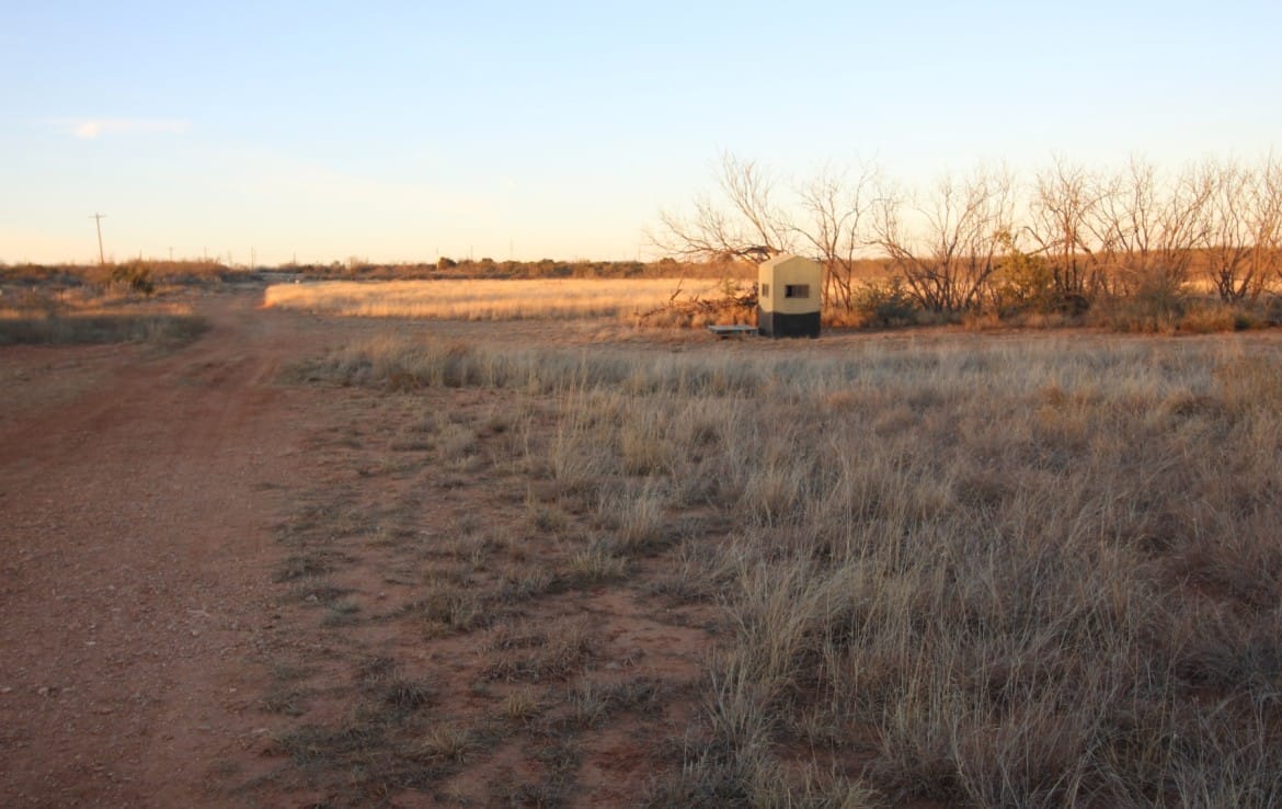 80 acres in Taylor Countty