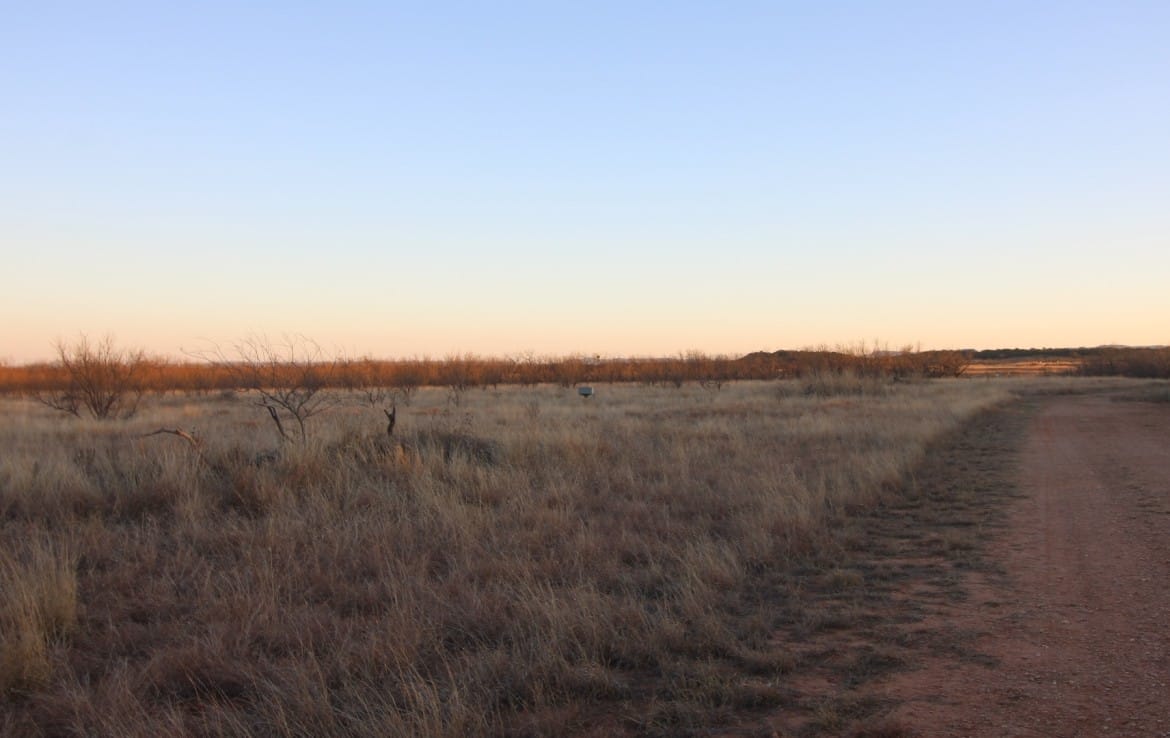 80 acres in Taylor Countty