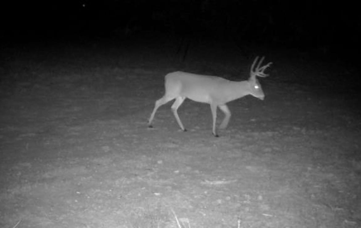 80 acres in Taylor Countty