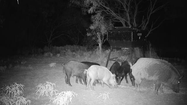 75 acres in Clay County