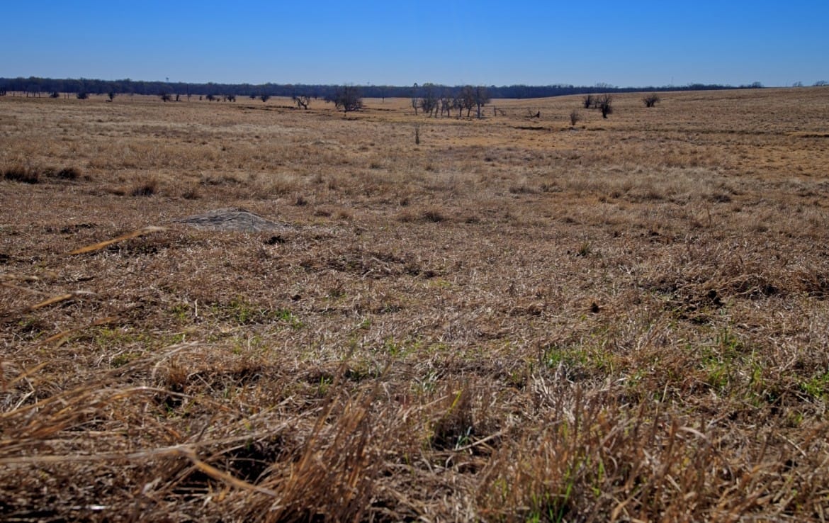 401 acres in Clay County