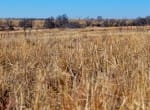 2226 acres in Clay County