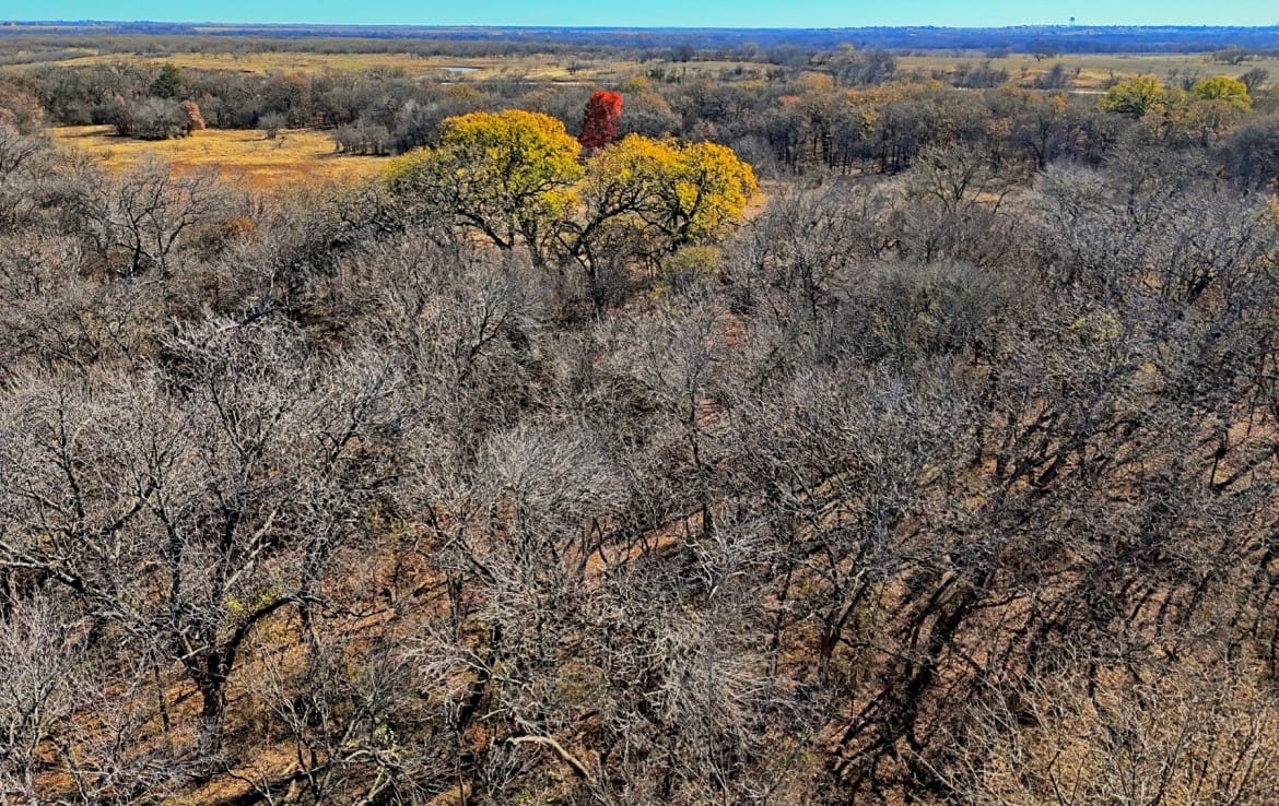 401 acres in Clay County