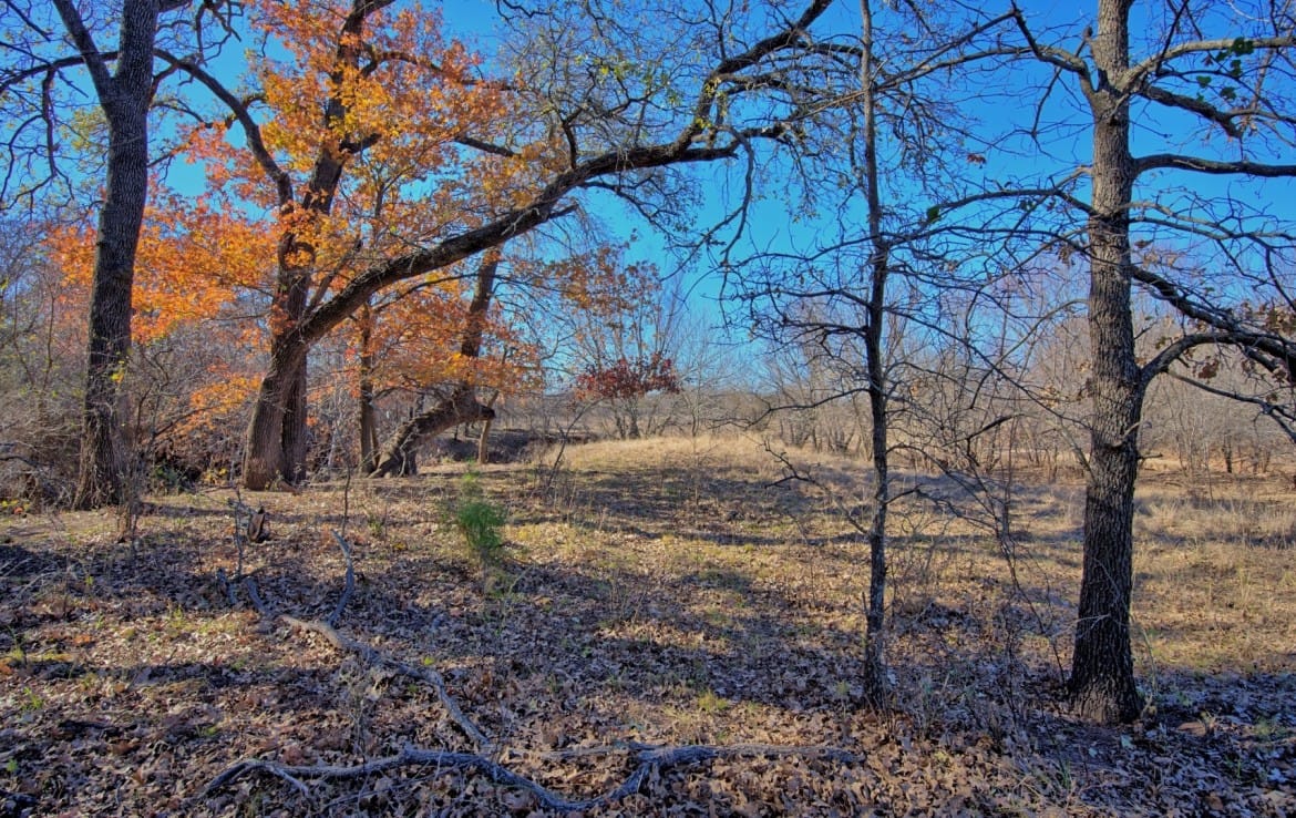 401 acres in Clay County