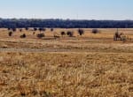 401 acres in Clay County