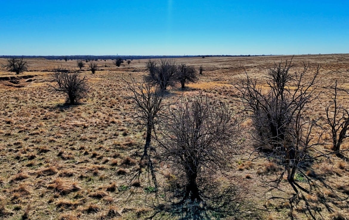 401 acres in Clay County
